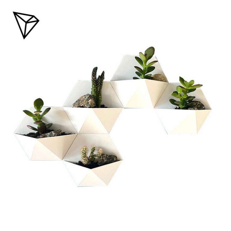 گلدان دیواری کاکتوس مجموعه 5 عددی